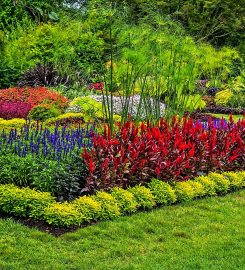 Jardines García