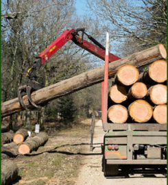 Torres Forestal