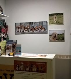 Centro Veterinario Isvet