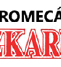 Garaje Electromecánico Aranbizkarra
