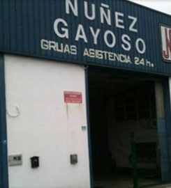 Gruas Nuñez Gayoso