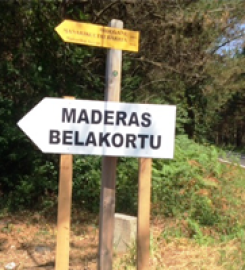 Maderas Belakortu