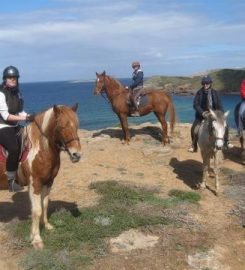 Menorca A Cavall