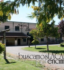BODEGAS BARRIALBA