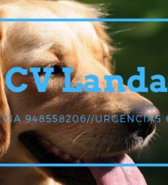 Clínica Veterinaria Landa