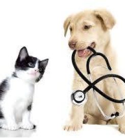 Centro Veterinario Bienestar Animal