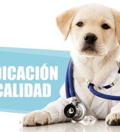 Clínica Veterinaria Jameos