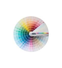 Centro Procolor Andratx