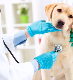 Clinica Veterinaria Mediterraneo