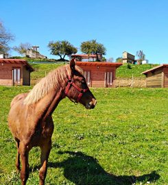 Camping Santa María de Brandoñas