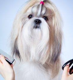 Peluquería Canina Miss & Mister Can